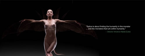 Splice promoción 6